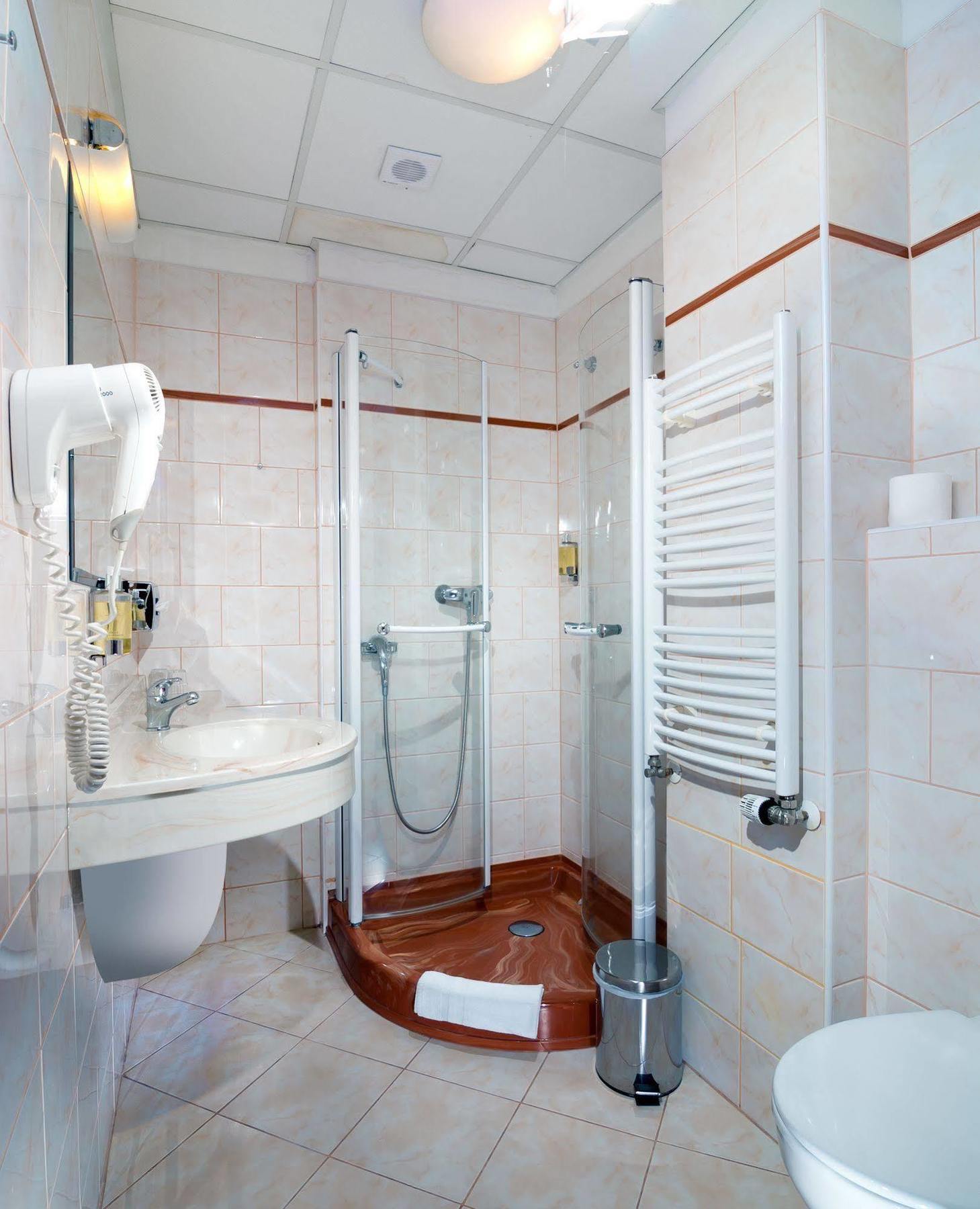 Hotel Ruze Karlovy Vary Dış mekan fotoğraf