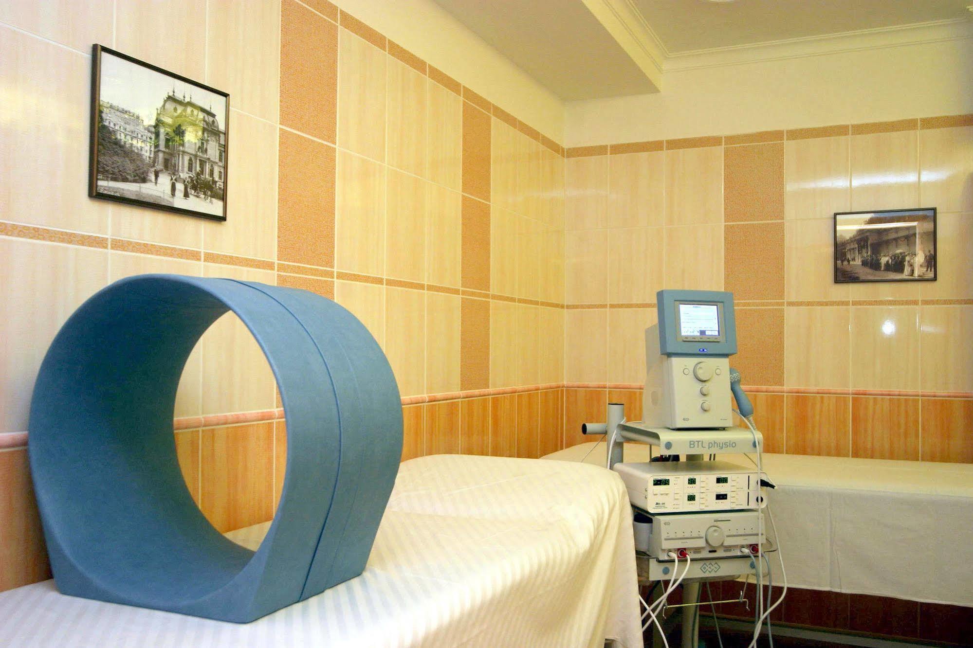 Hotel Ruze Karlovy Vary Dış mekan fotoğraf