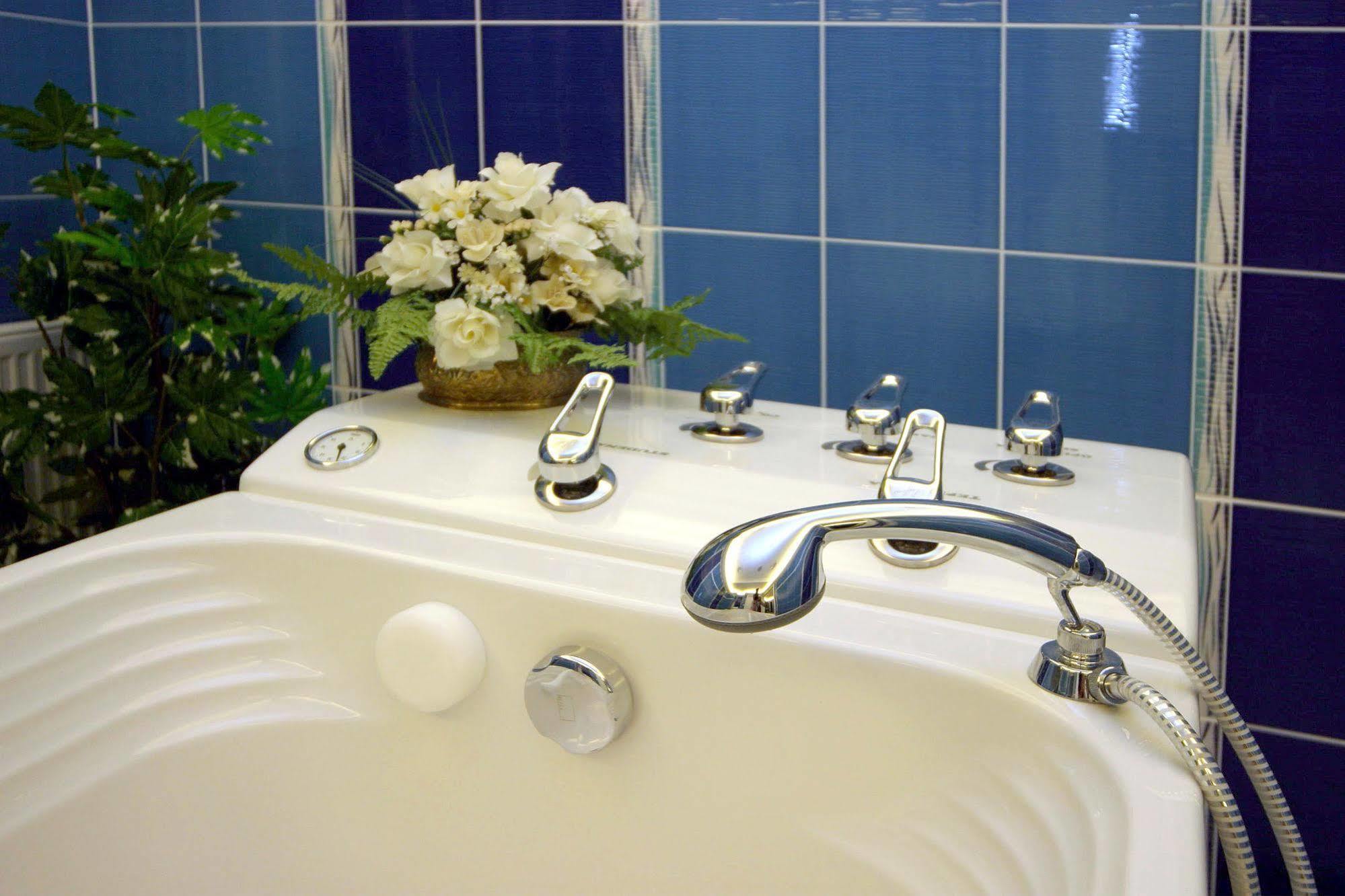 Hotel Ruze Karlovy Vary Dış mekan fotoğraf
